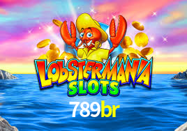 789br.com